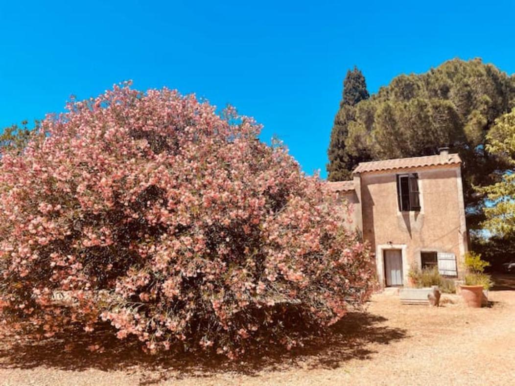 Villa Casa Cote Sud - Mas Bois Fontaine Nîmes Exterior foto